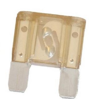 10 FUSIBLES MAXI LANGUETTE 29X34MM - 20A