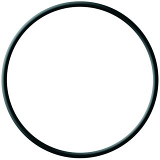 JOINT TORIQUE POUR FILTRE VENEZIA 1"1/4 & 1"1/2