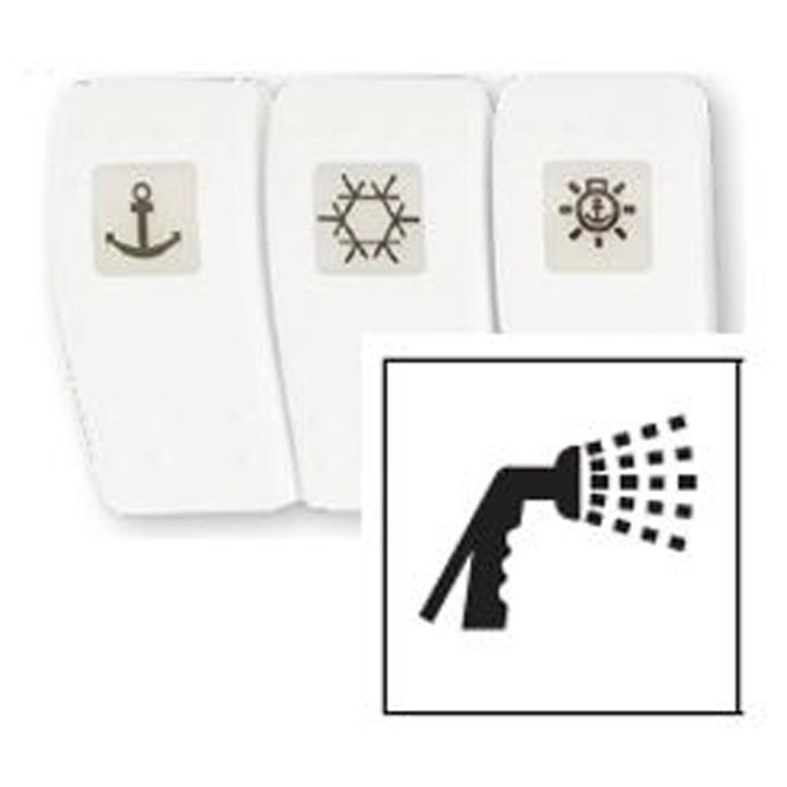 CACHE BLANC DOUCHETTE