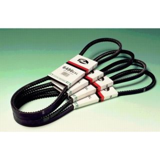 COURROIE DE DISTRIBUTION VOLVO 123 x 3/4