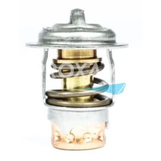 THERMOSTAT MERCURY