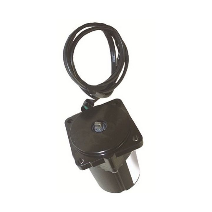 MOTEUR DE TRIM J/E 40, 50CV (05/06)