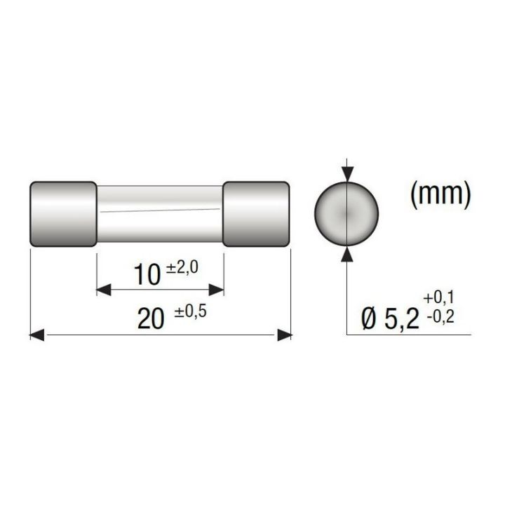 FUSIBLE VERRE 5x20MM 20A (BTE 10)